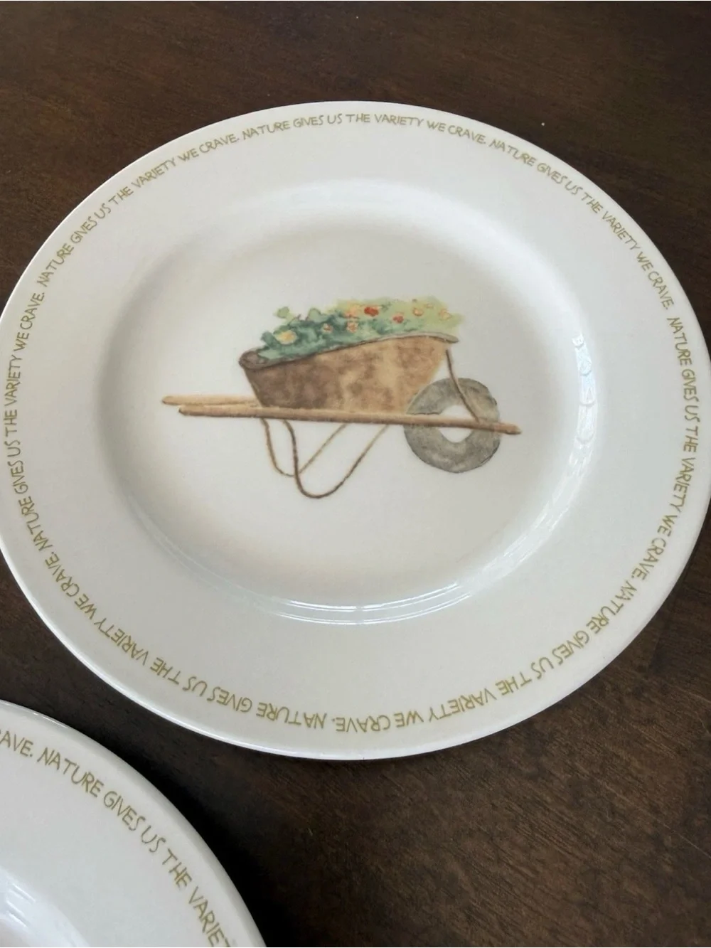 Thomson Pottery My Garden Salad Plates Set of 3  Wheelbarrow Tulips Watering Can